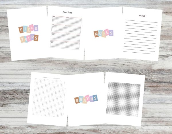 Blocks Homeschool Planner - Image 5